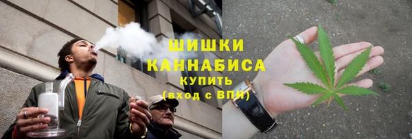 ECSTASY Богородицк