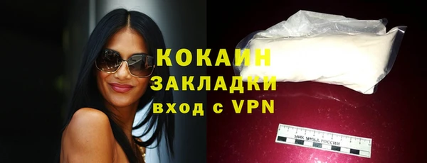 стафф Бородино