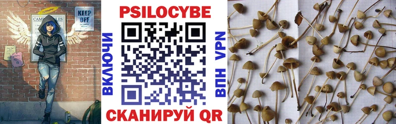 купить наркотики цена shop как зайти Псилоцибиновые грибы мицелий Кашира